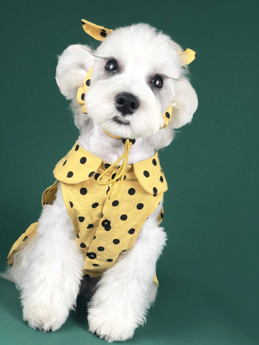 HKM-6425149 Cute Summer Dress for Small Dogs and Cats - Pet Outfit for Teddy, Schnauzer, Corgi & More