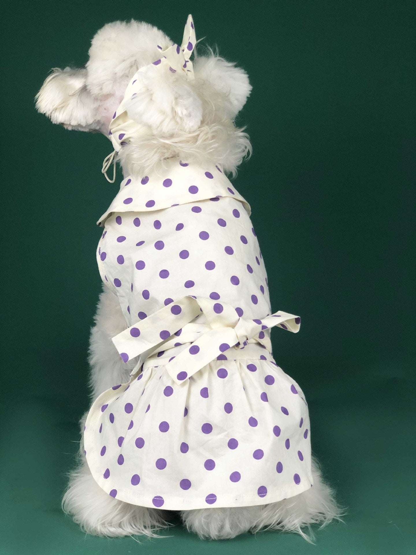 HKM-6425149 Cute Summer Dress for Small Dogs and Cats - Pet Outfit for Teddy, Schnauzer, Corgi & More