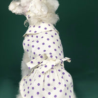 HKM-6425149 Cute Summer Dress for Small Dogs and Cats - Pet Outfit for Teddy, Schnauzer, Corgi & More