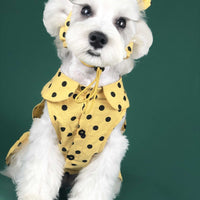HKM-6425149 Cute Summer Dress for Small Dogs and Cats - Pet Outfit for Teddy, Schnauzer, Corgi & More