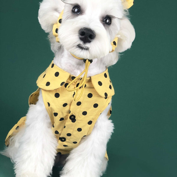 HKM-6425149 Cute Summer Dress for Small Dogs and Cats - Pet Outfit for Teddy, Schnauzer, Corgi & More