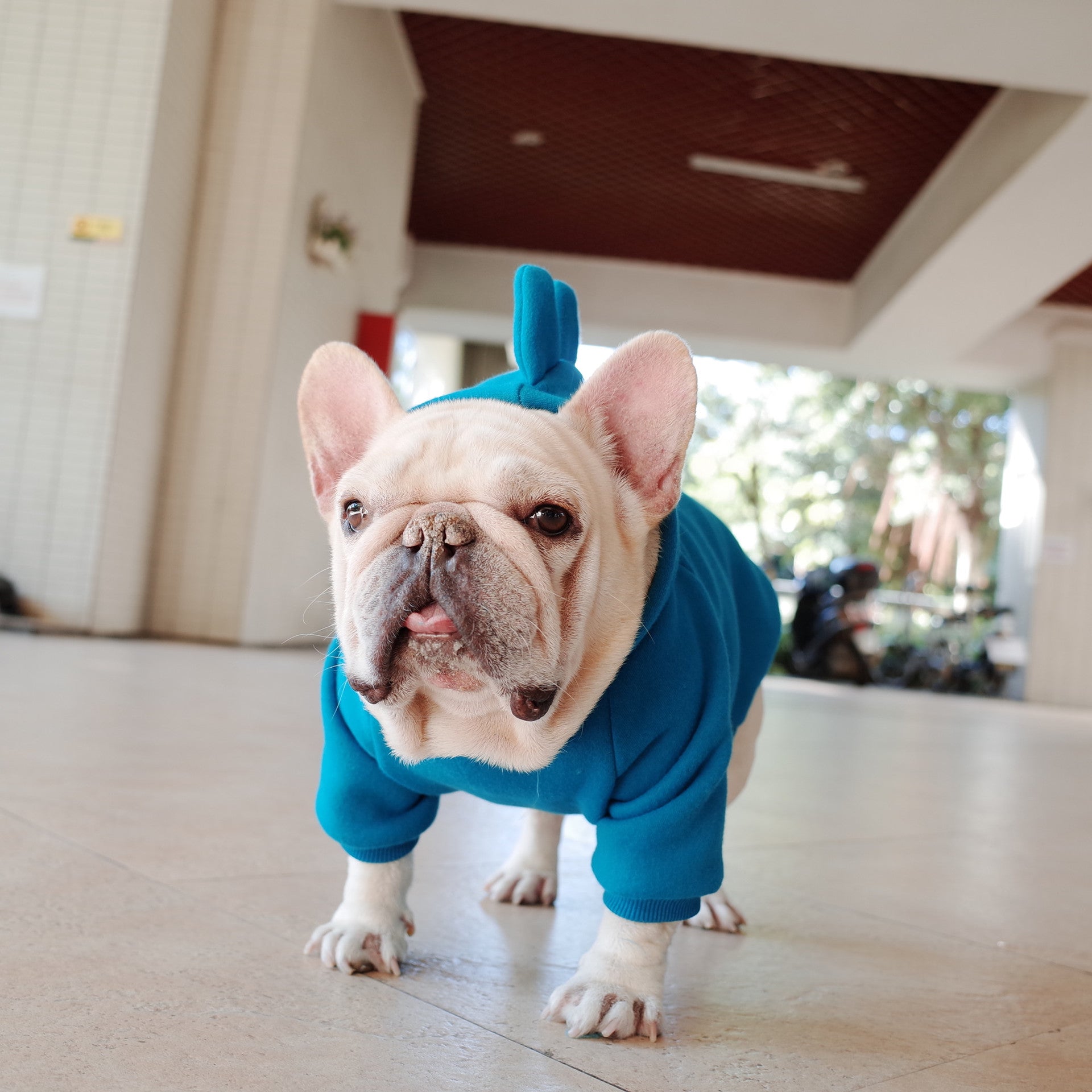 HKM-6428605 Cozy Blue Fleece Pet Hoodie for Dogs in Sizes S to XL