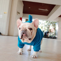 HKM-6428605 Cozy Blue Fleece Pet Hoodie for Dogs in Sizes S to XL