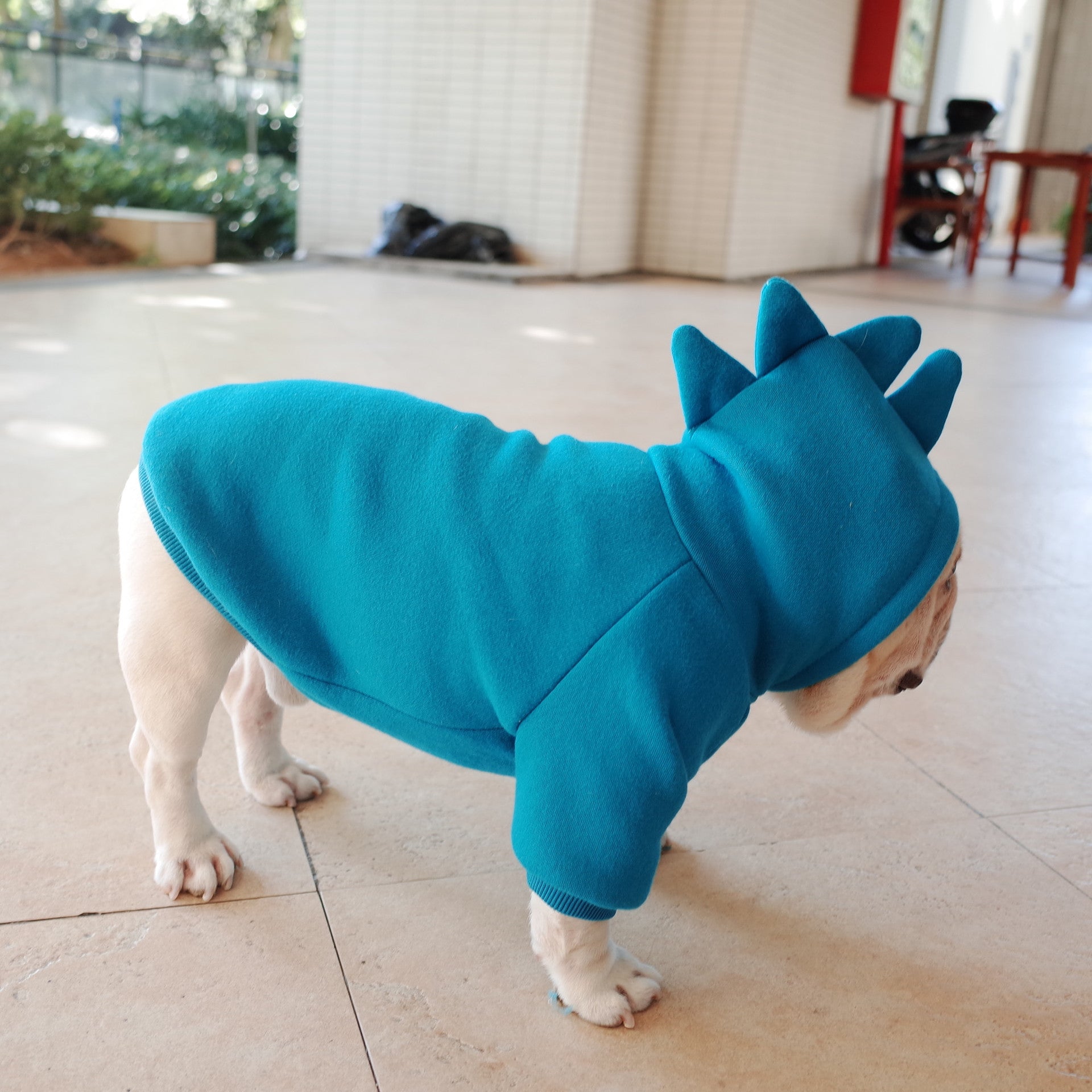 HKM-6428605 Cozy Blue Fleece Pet Hoodie for Dogs in Sizes S to XL