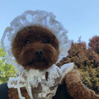 HKM-6430909 Lace Sunscreen Hat for Small to Medium Dogs - Water-Soluble Fabric, Available in White
