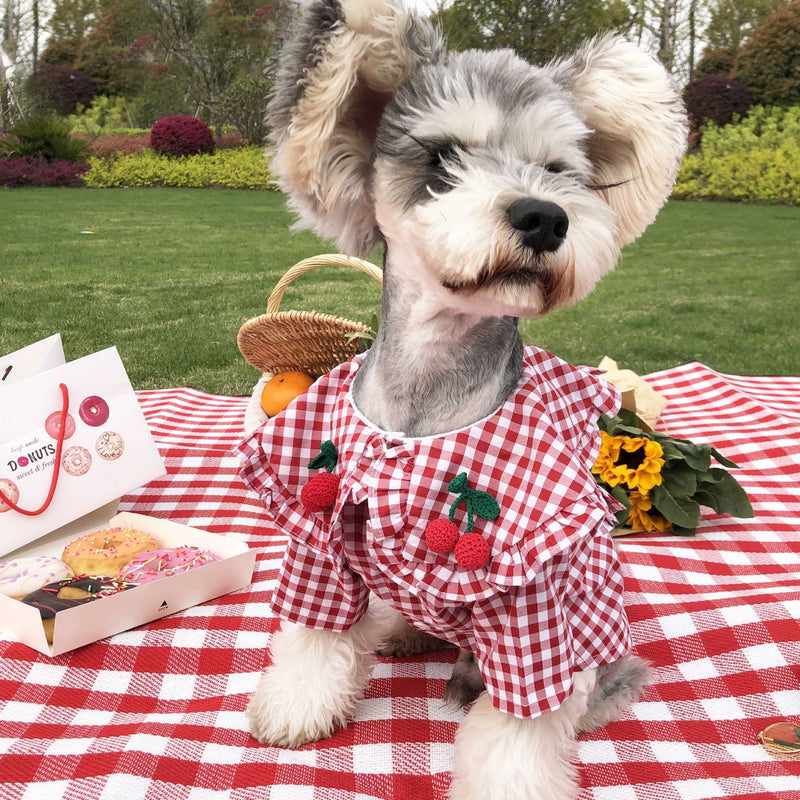 HKM-6431677 Checkered Cotton Summer Shirt for Small Dogs - Casual Outfit in Multiple Sizes