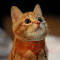 HKM-6435261 Adjustable Orange and Black Jewelry Accessories Dress for Dogs and Cats