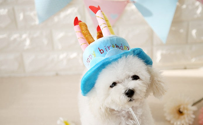 HKM-6443197 Pet Birthday Cake Hat with Adjustable Rope, Cashmere Material, 20x16cm, Fits Pets Up to 45cm