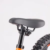 HKM-644371 16-Inch Electric Balance Bicycle for Kids with Removable 5000mAh Battery, Adjustable Seat, and Disc Brake