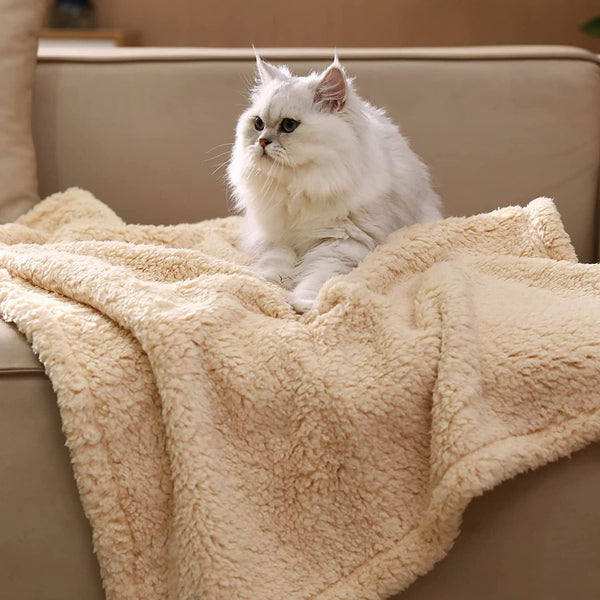 HKM-6444477 Cotton Velvet Pet Blanket for Dogs ¨C Warm, Soft, Available in Black, Beige, and Gray