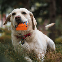 HKM-644563 Resistant To Bite And Chew Dog Toy Burst Ball