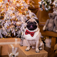 HKM-6446781 Christmas Snowflake Terylene Collar with Red Bow - Multiple Sizes Available