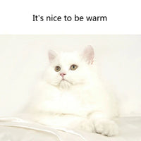 HKM-6448829 Cozy Plush Dog Bed Mat for Winter - Soft Warm Cushion with Non-Skid Bottom, Perfect for Pets