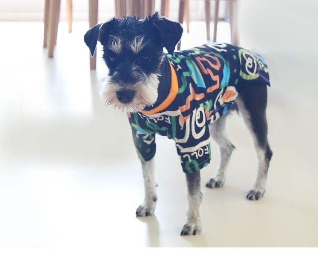 HKM-6452925 Casual Black and White Pet Sweater for Spring and Summer