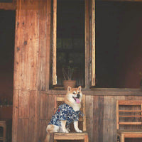HKM-6458685 Cotton Shiba Inu Pet Kimono in Blue and Black - Stylish, Comfortable Casual Wear for Dogs