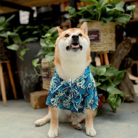 HKM-6458685 Cotton Shiba Inu Pet Kimono in Blue and Black - Stylish, Comfortable Casual Wear for Dogs