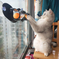 HKM-6459581 Cat Climbing Frame with Track Ball - Gray, 57cm Long, 10cm Wide