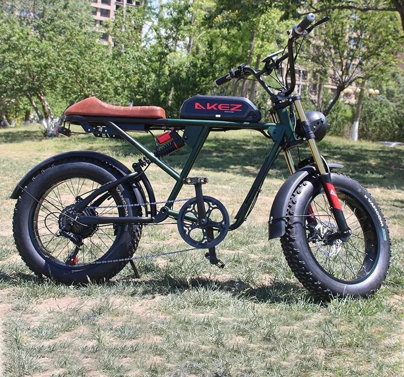HKM-646035 750W Electric Mountain Bike with Full Suspension and 20" Fat Tires, 48V Lithium Battery, 7-Speed Gear System