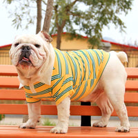 HKM-6464445 Casual Cotton T-Shirt for Big Dogs and Corgis in Blue, Yellow, and Green