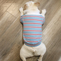 HKM-6464445 Casual Cotton T-Shirt for Big Dogs and Corgis in Blue, Yellow, and Green