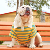 HKM-6464445 Casual Cotton T-Shirt for Big Dogs and Corgis in Blue, Yellow, and Green