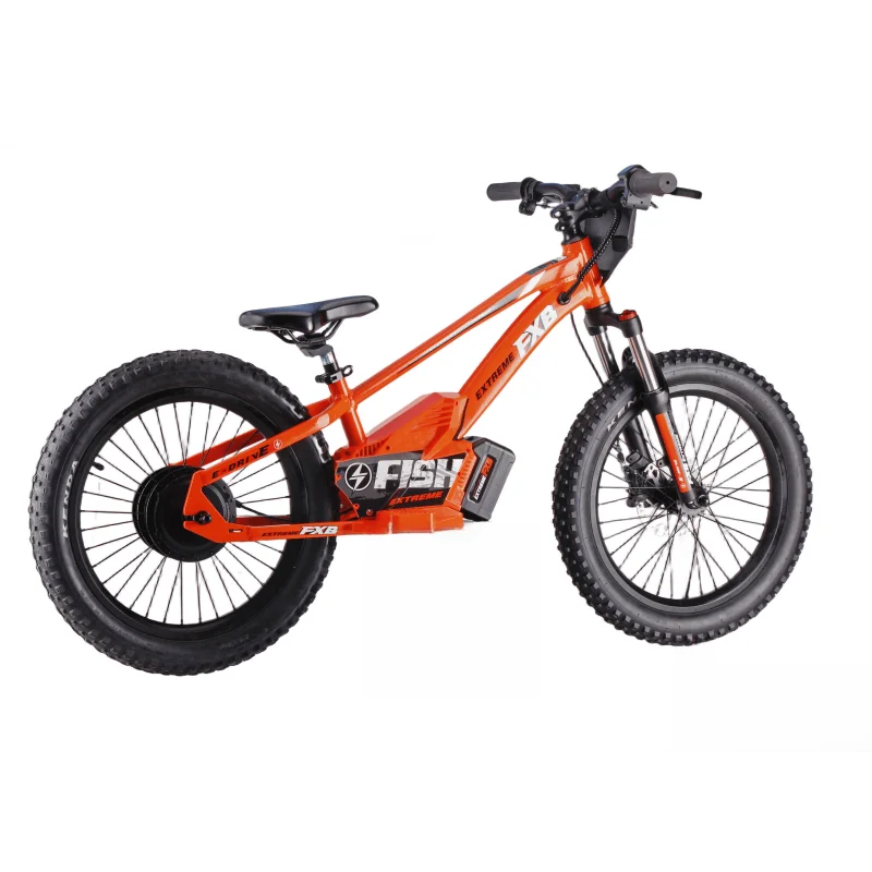 HKM-646675 Electric Balance Bike for Kids with 20-Inch Aluminum Frame and 36V Lithium Battery