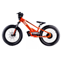 HKM-646675 Electric Balance Bike for Kids with 20-Inch Aluminum Frame and 36V Lithium Battery