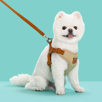 HKM-6471613 Bear Head Polyester Chest Strap Dog Leash - Red, Black, Green, Beige