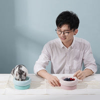 HKM-6477757 Mochi Ceramic Short-Leg Cat Bowl in Light Green and Pink, Medium Size