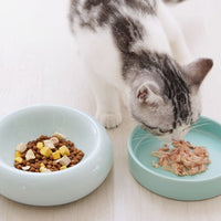 HKM-6477757 Mochi Ceramic Short-Leg Cat Bowl in Light Green and Pink, Medium Size