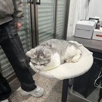 HKM-6481597 Portable Metal Cat Nest - Disassemblable Pet Bed for Cats