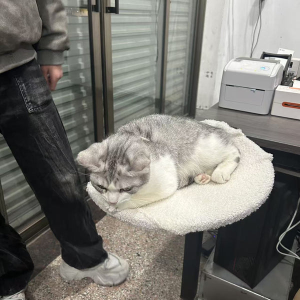 HKM-6481597 Portable Metal Cat Nest - Disassemblable Pet Bed for Cats