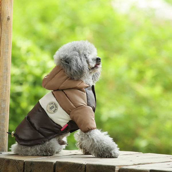 HKM-6481981 Two-Legged Cotton-Padded Dog Jacket in Multi-Color Options for Outdoor Warmth