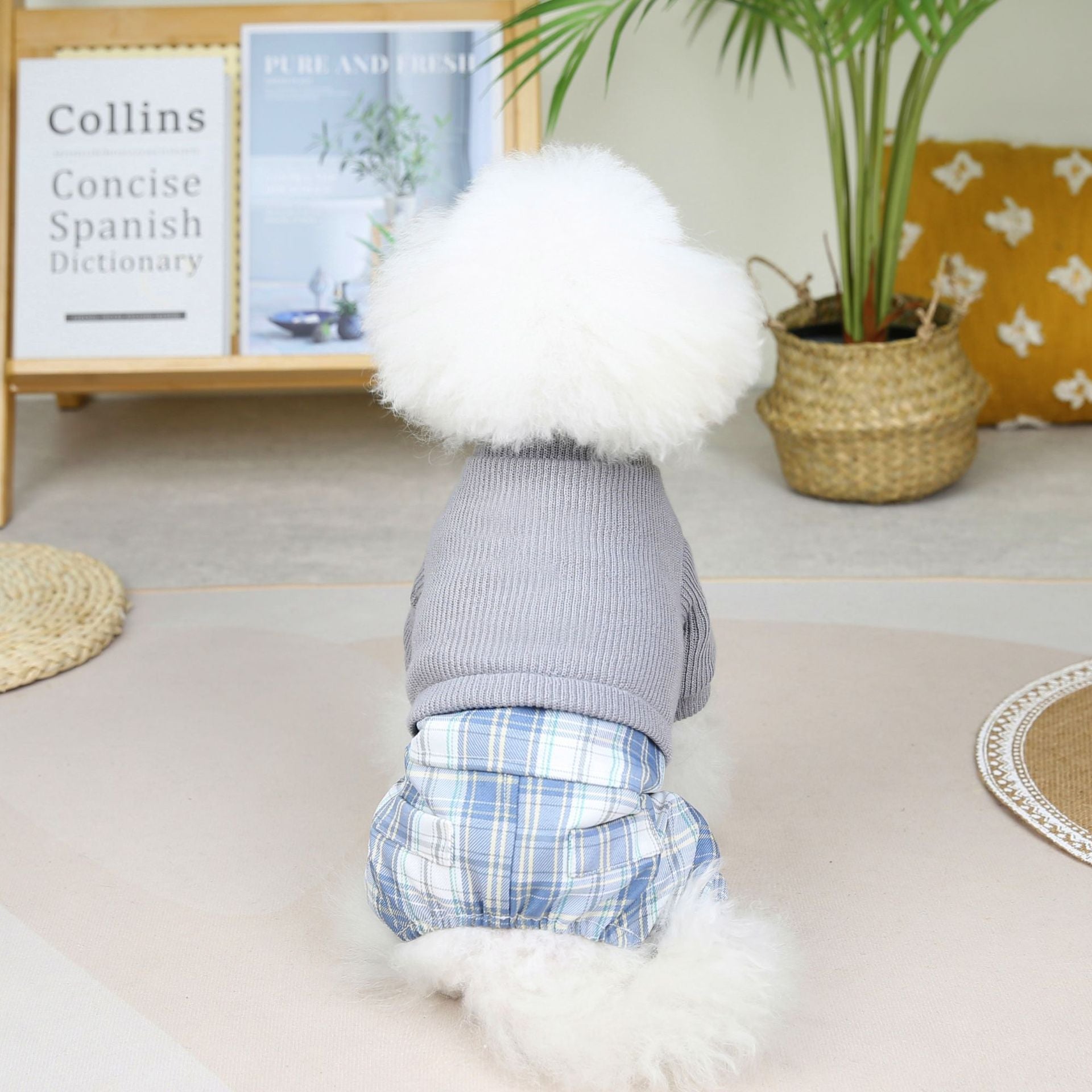 HKM-6482109 Wool Fabric Casual Dog Skirt and Pant Suit Set, Warm Pet Clothing