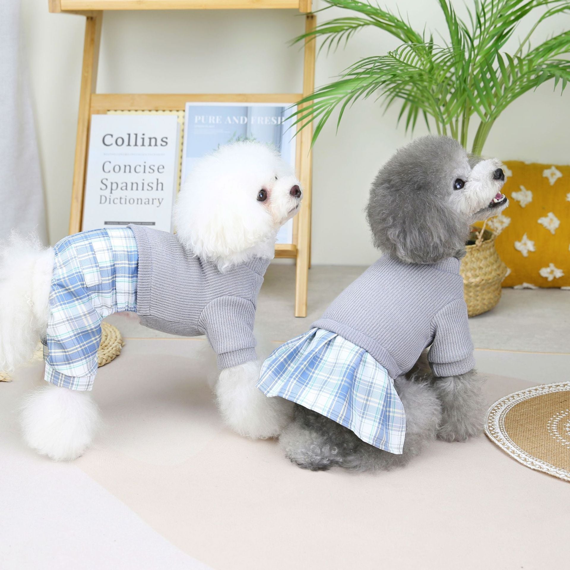 HKM-6482109 Wool Fabric Casual Dog Skirt and Pant Suit Set, Warm Pet Clothing