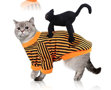 HKM-6487485 Pet Halloween Costume Collection: Skull, Spider, Bat Wings & Pumpkin Styles for Cats