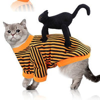 HKM-6487485 Pet Halloween Costume Collection: Skull, Spider, Bat Wings & Pumpkin Styles for Cats