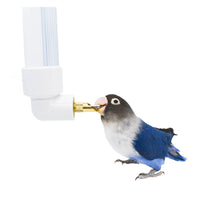 HKM-6489149 Automatic Parrot Water Fountain Dispenser 130ml - Pet Hanging Drinking Bottle for Rabbits