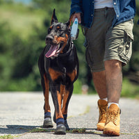 HKM-6495677 Pet Outdoor Sports Shoes with Anti-Slip Biomimetic Stripes for All Sizes
