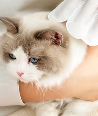 HKM-6496701 Disposable Bath Cleaning Wipes for Dogs and Cats - 5 Pack