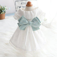 HKM-6497213 Mint Butterfly Summer Dress for Cats, Cotton Fabric, Sizes XS to XL