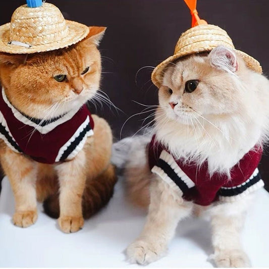 HKM-6499389 Warm College Style Winter Clothes for British Shorthair Cats and Small Dogs in Multiple Colors