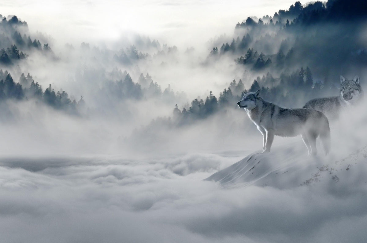 HKM-650259 Mountain Serenity Wolf Tapestry – Polyester European Style Home Decor