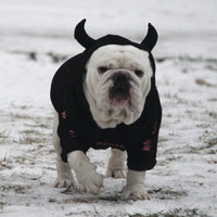 HKM-6502973 Cozy Coral Velvet Hoodie for Small to Medium Dogs - Winter Sweater for Yorkshire, Chihuahua, Alaska