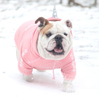 HKM-6502973 Cozy Coral Velvet Hoodie for Small to Medium Dogs - Winter Sweater for Yorkshire, Chihuahua, Alaska
