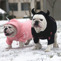 HKM-6502973 Cozy Coral Velvet Hoodie for Small to Medium Dogs - Winter Sweater for Yorkshire, Chihuahua, Alaska