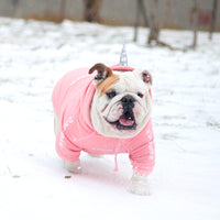 HKM-6502973 Cozy Coral Velvet Hoodie for Small to Medium Dogs - Winter Sweater for Yorkshire, Chihuahua, Alaska