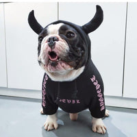 HKM-6502973 Cozy Coral Velvet Hoodie for Small to Medium Dogs - Winter Sweater for Yorkshire, Chihuahua, Alaska