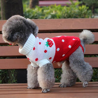 HKM-6508733 Knitted Wool Winter Sweater for Small Dogs - Multiple Sizes Available
