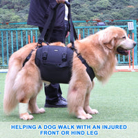 HKM-6509629 Outdoor Dog Harness with Leg Support and Oxford Fabric for Rehabilitation
